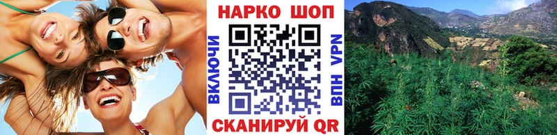 Виды наркотиков купить Салават Каннабис  Cocaine  A-PVP  Мефедрон 