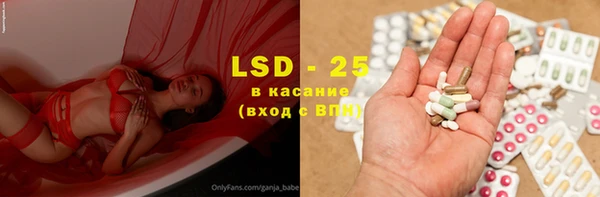 хмурый Алзамай