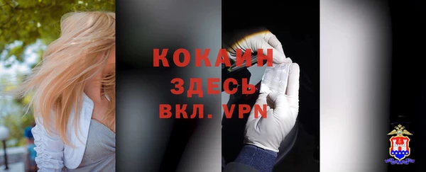кокс Алексин