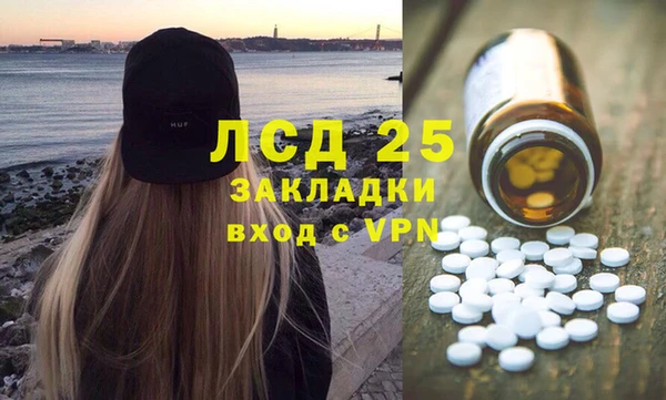 хмурый Алзамай