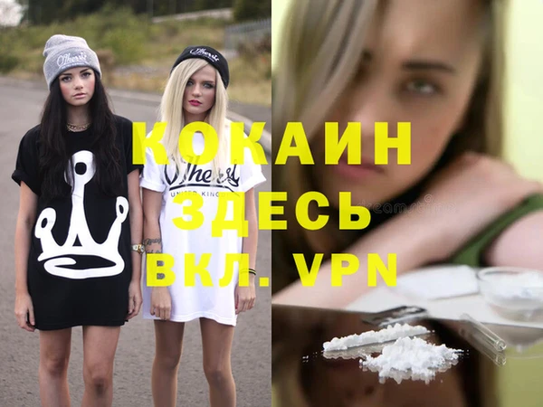 хмурый Алзамай