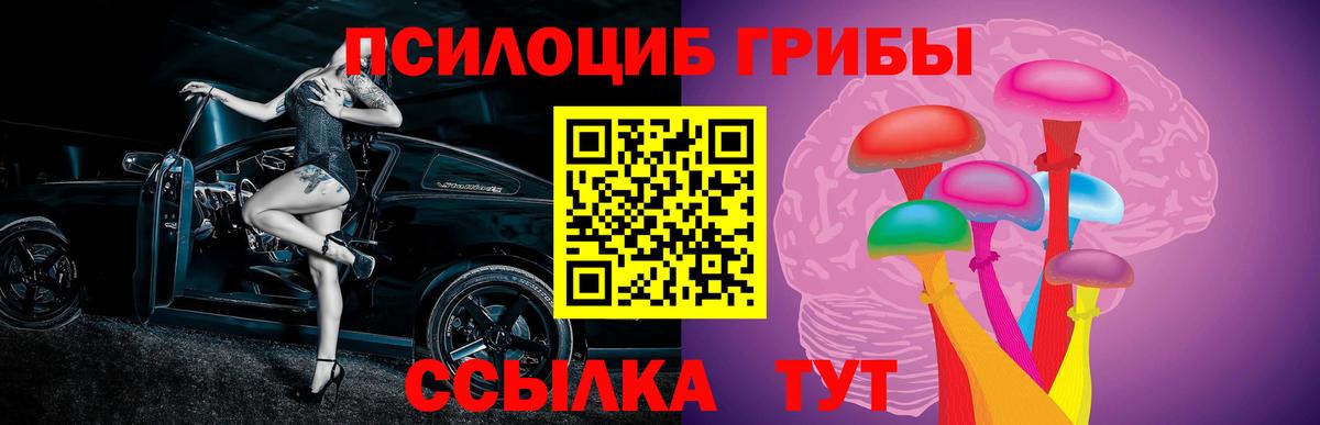 Псилоцибиновые грибы ЛСД Салават
